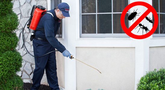 Özkanlar Hamam Böceği İlaçlama böcek ilaçlama ve haşere kontrolü — ilaclama-tr.com